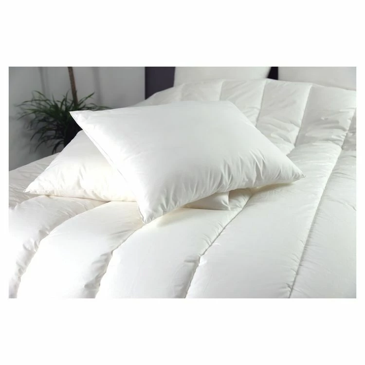 DODO Lot De 2 Oreillers Confort Moelleux En Microfibre Toucher Peau De Pêche LES FACILES A VIVRES 4 DODO Lot De 2 Oreillers Confort Moelleux En Microfibre Toucher Peau De Pêche LES FACILES A VIVRES – Image 2