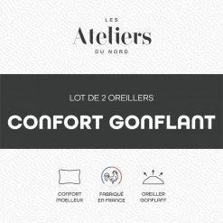 ATELIERS DU NORD Lot De 2 Oreillers Confort Gonflant - -Auchan Boutique B2CD 7037